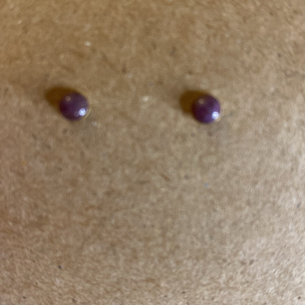 The Rooted Seeds Studs Purple
